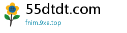 55dtdt.com